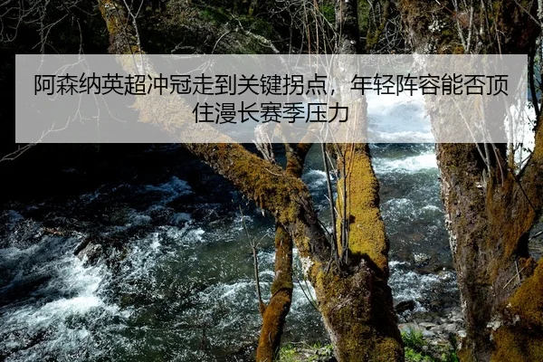 阿森纳英超冲冠走到关键拐点，年轻阵容能否顶住漫长赛季压力